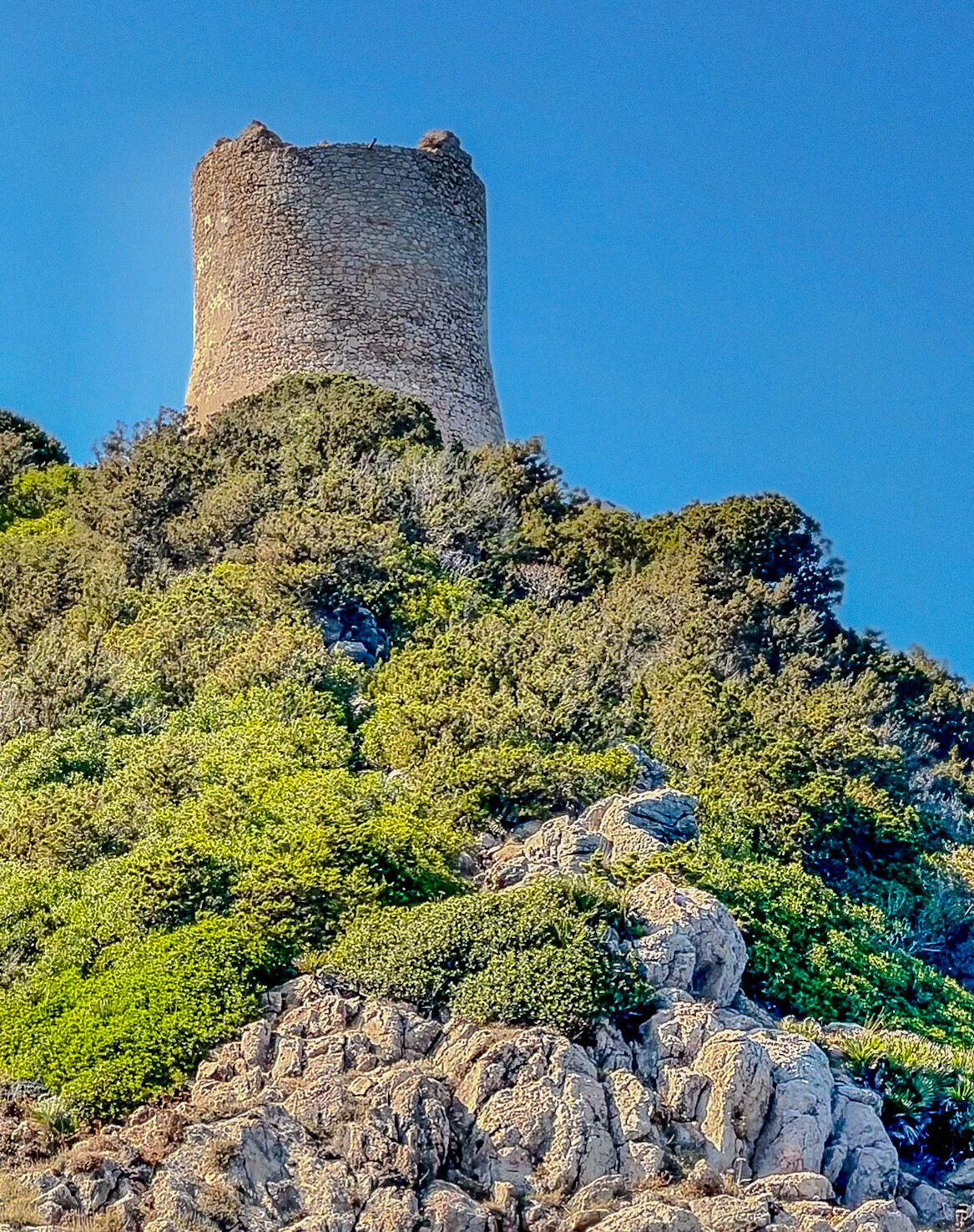 Torre del Bollo